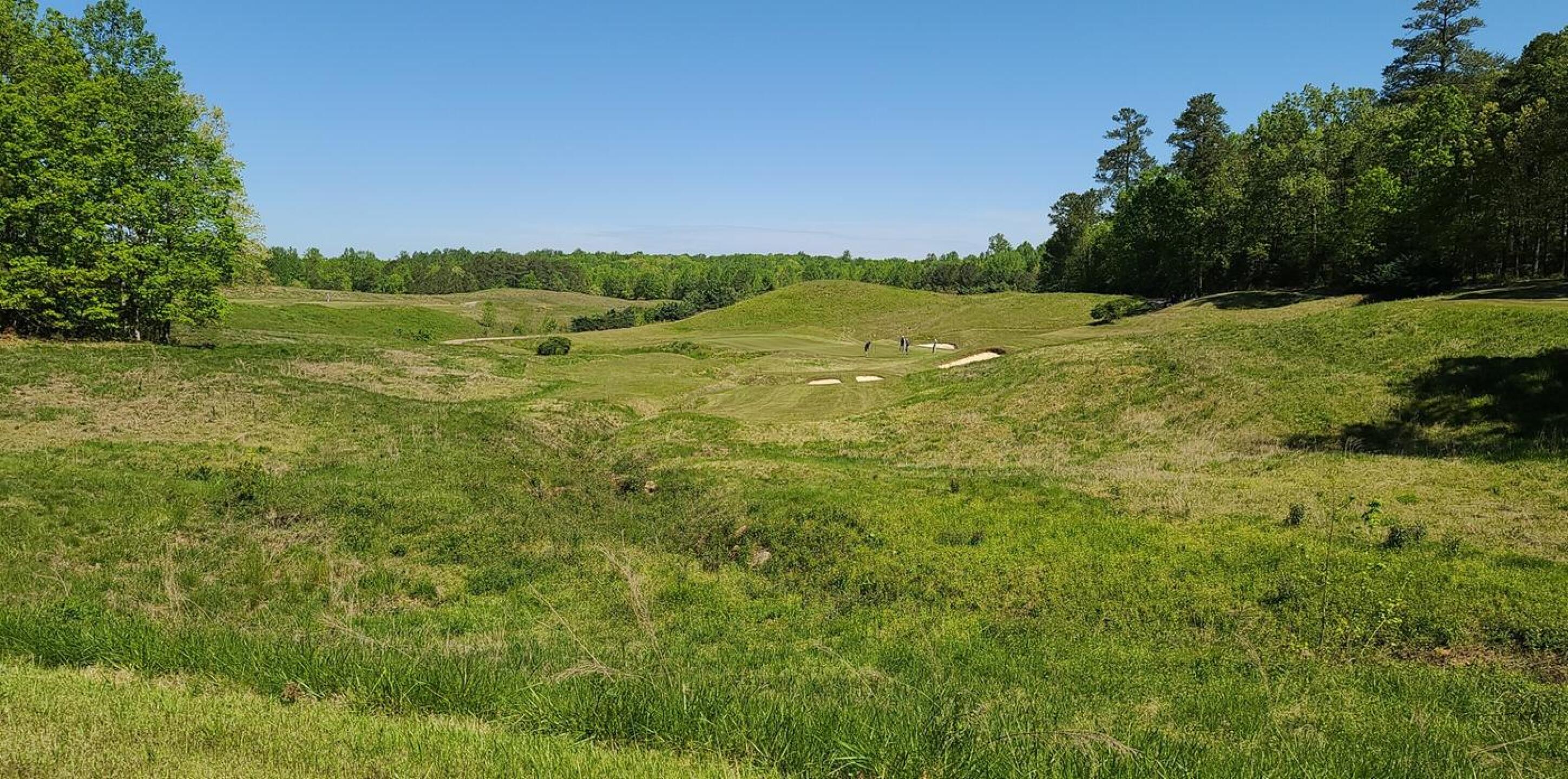 (Photo submitted by Maltenator on 05/02/2020)