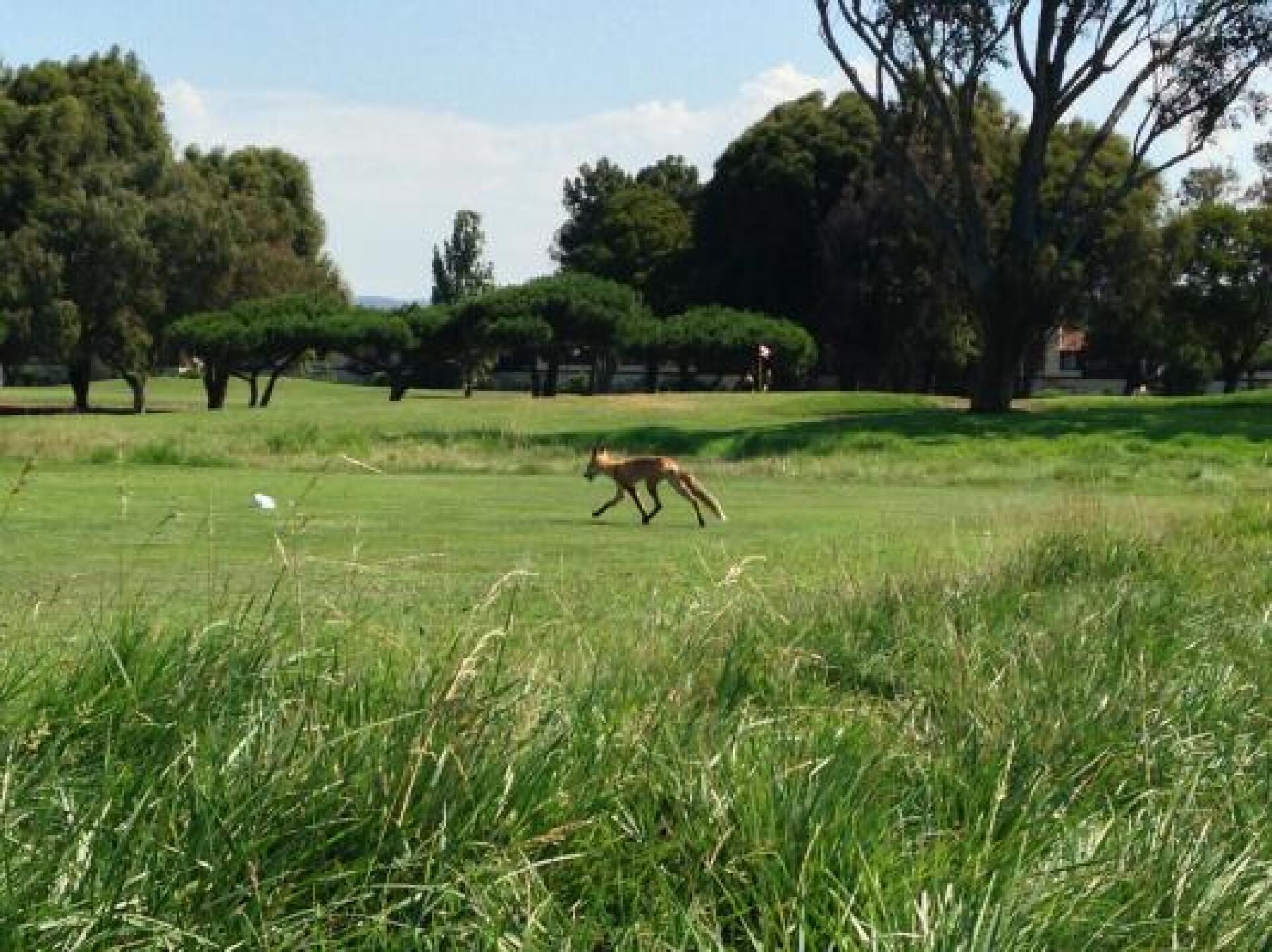 Foxtrot (Photo submitted by u000007235985 on 07/05/2013)