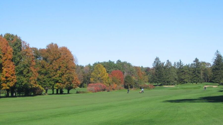 Allandale GC