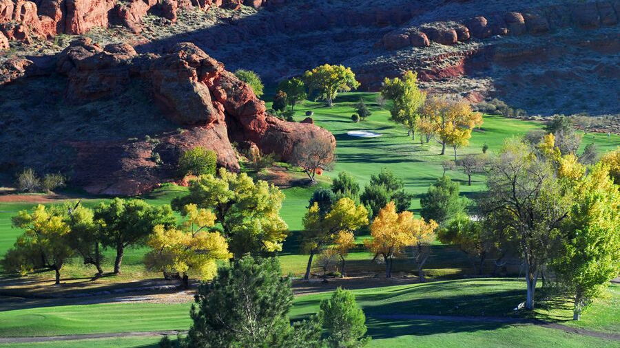Dixie Red Hills GC: #8