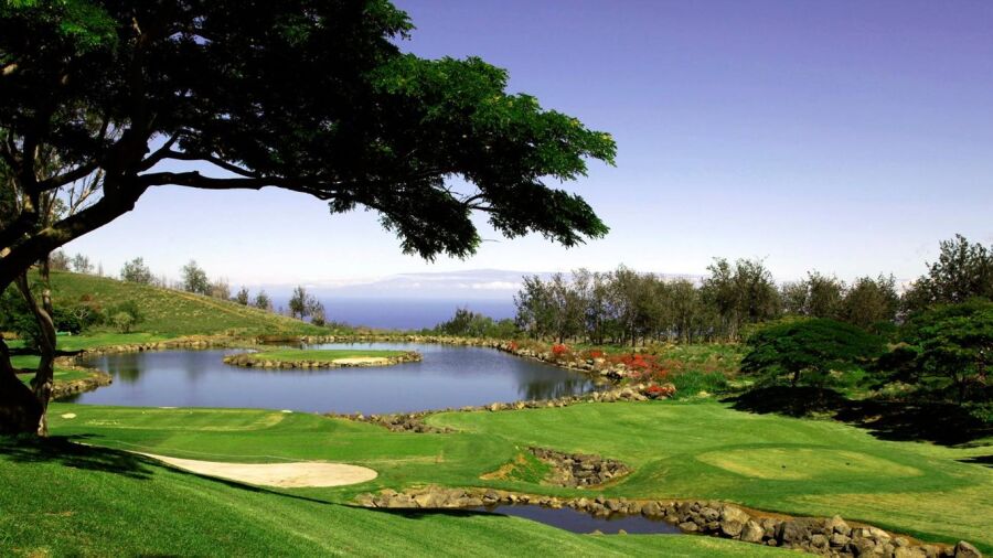 Makani GC: #17