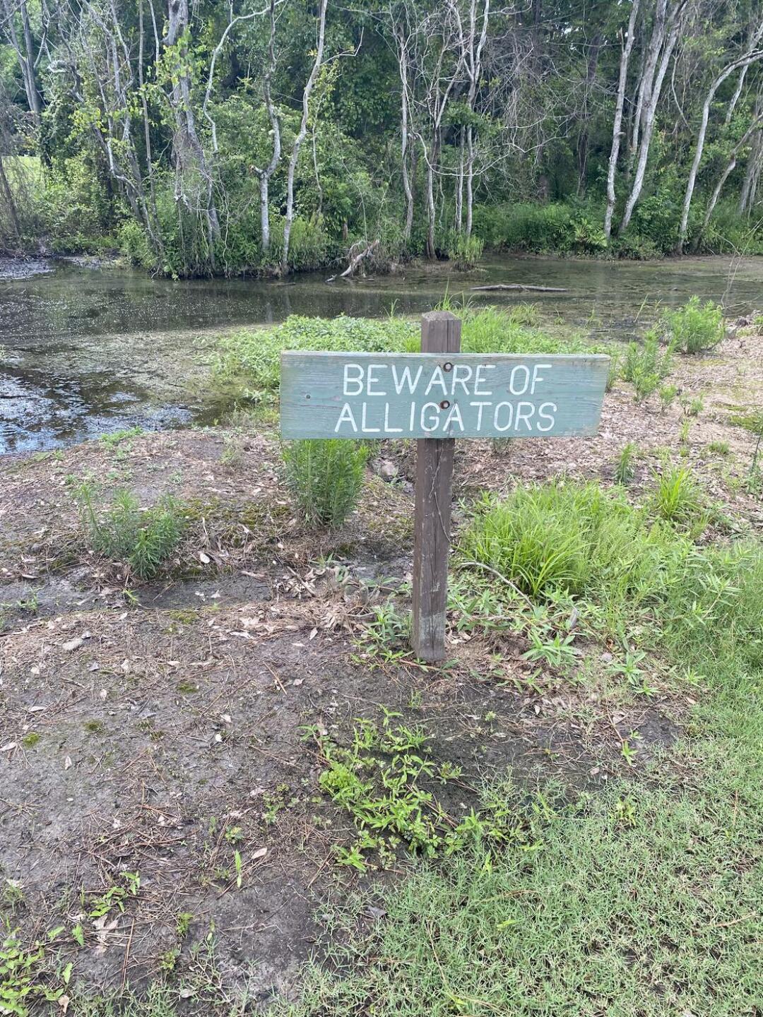 (Photo submitted by travissmith08 on 06/16/2025)