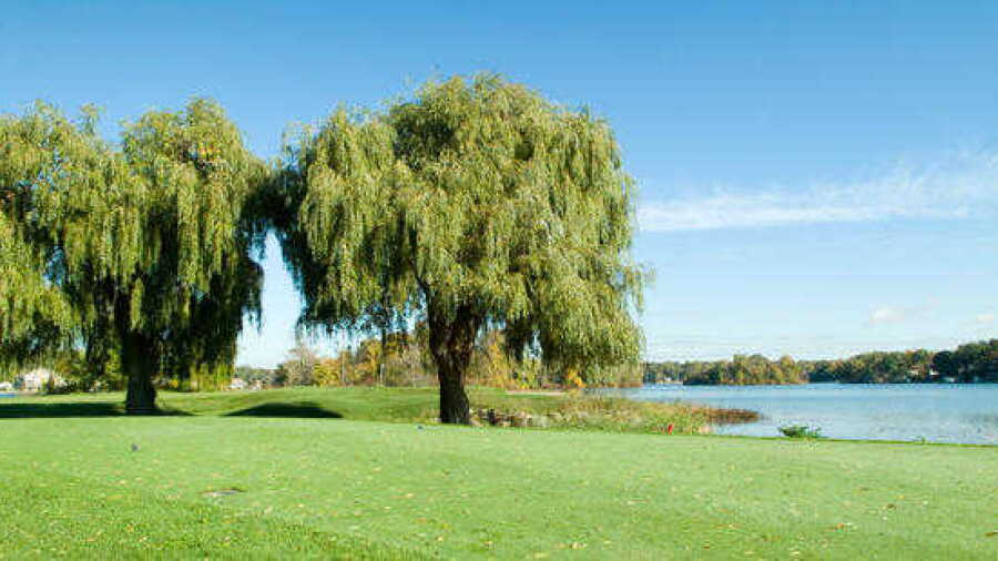 Oak Pointe CC
