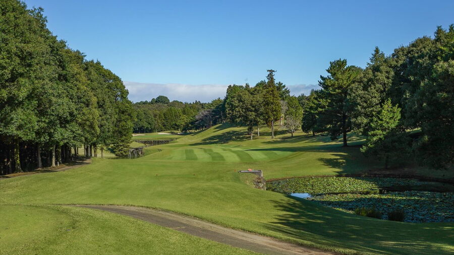 Royal Meadow GC: #8