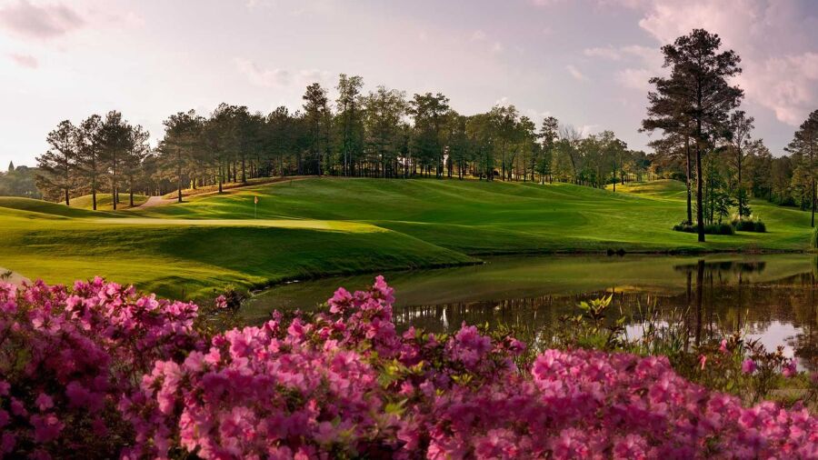 Robert Trent Jones Golf Trail at Ross Bridge: #8