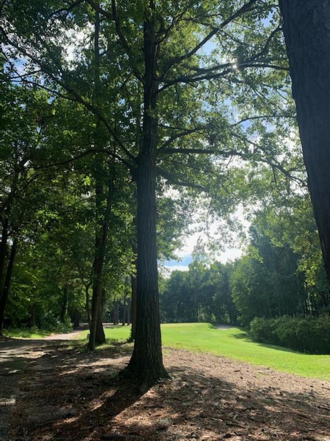 (Photo submitted by u000005118170 on 08/05/2020)