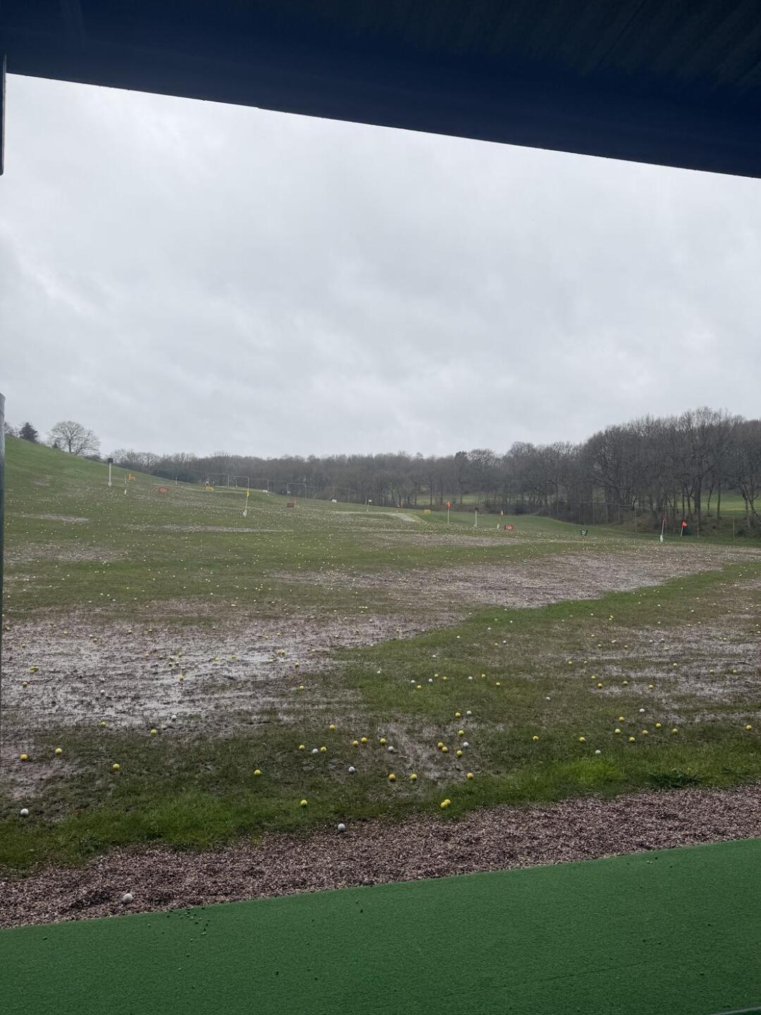 (Photo submitted by BDzlGpsBzwlvLGyP28pw on 03/30/2026)