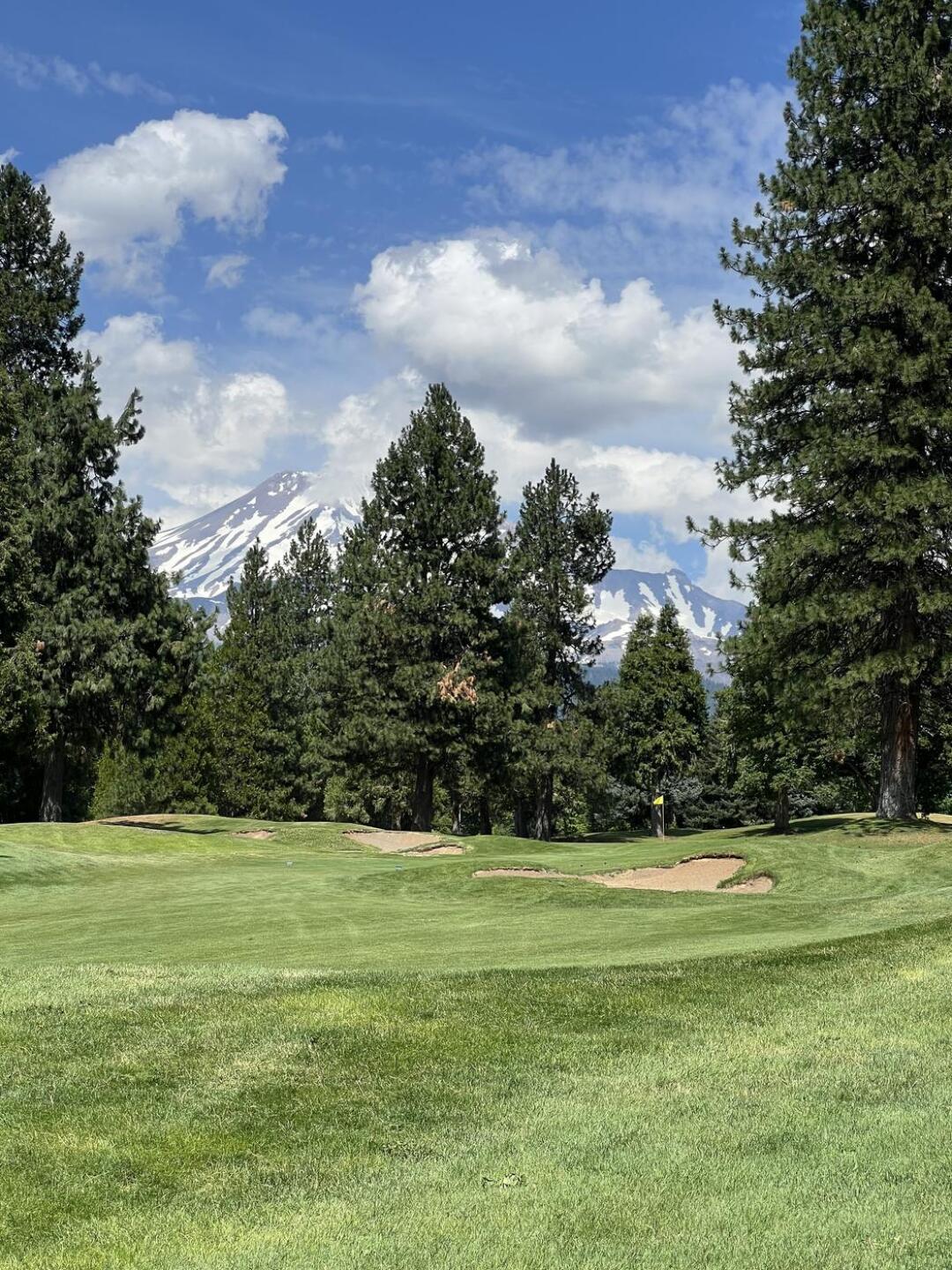 (Photo submitted by JoeParks2483 on 07/08/2025)