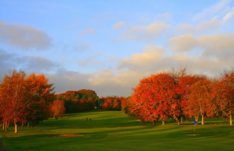 Carlow GC - Deerpark: #18