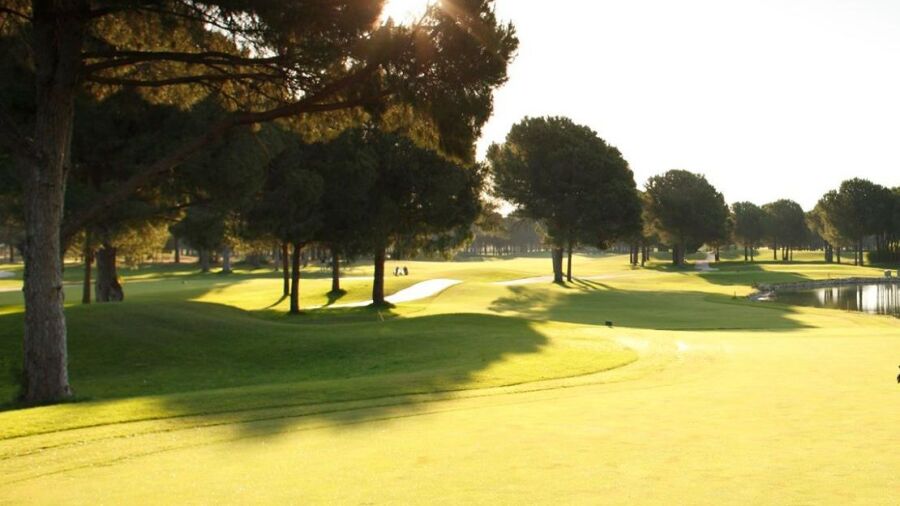 Robinson GC Nobilis