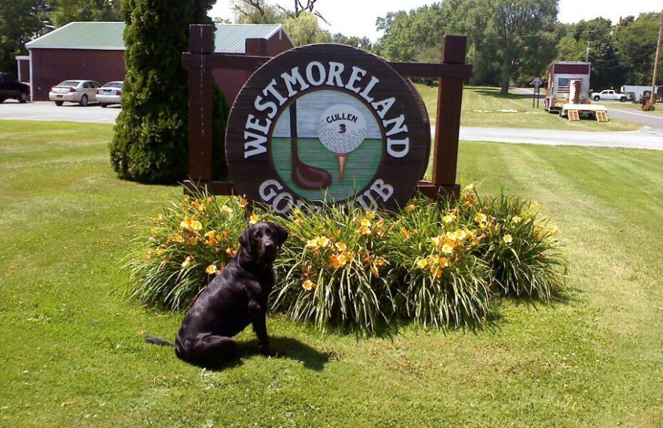 Westmoreland Golf Club in Westmoreland, New York, USA GolfPass