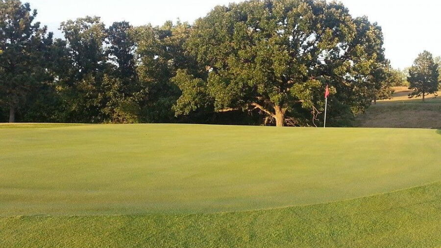 Cavalier CC: #7