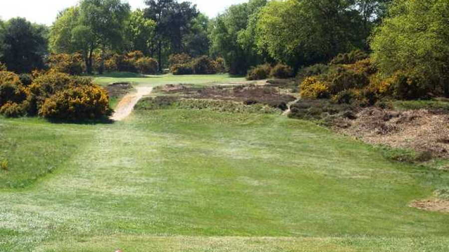 Woodbridge GC - Forest: #8