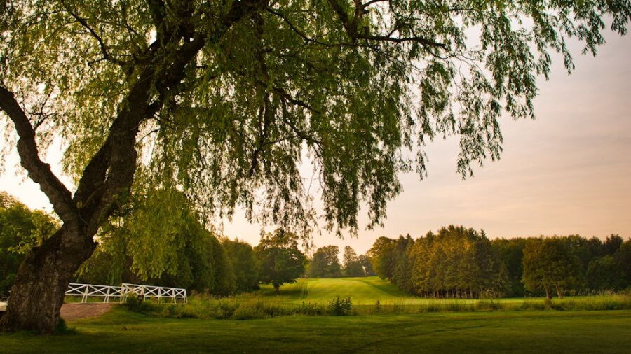 Craigowan GC: #2
