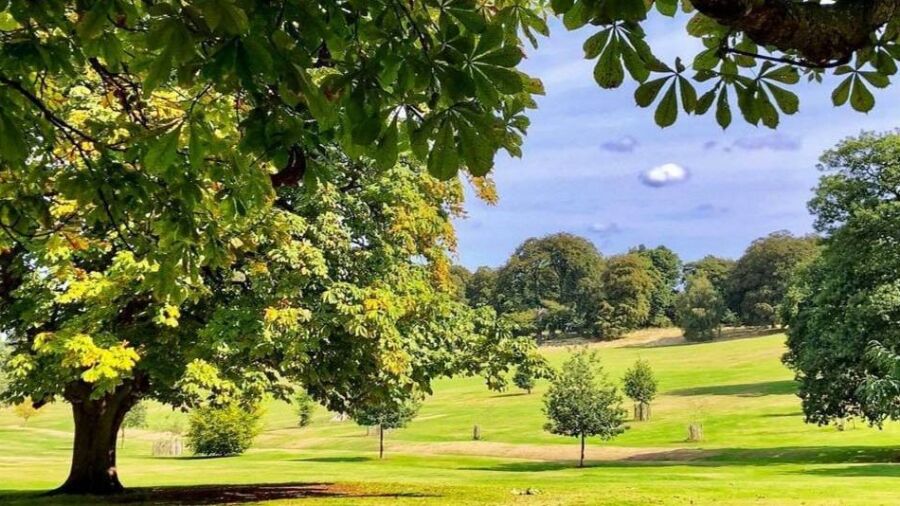 Warley Woods GC