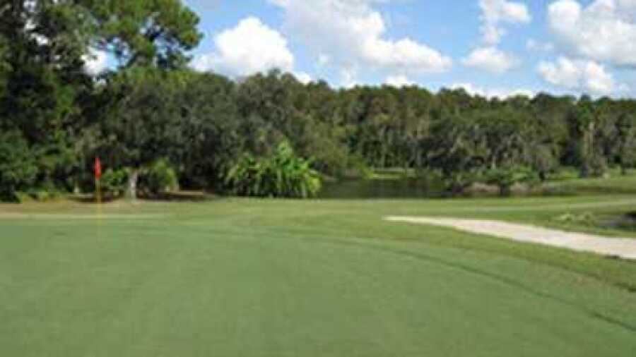 University of South Florida GC - The Claw: #12