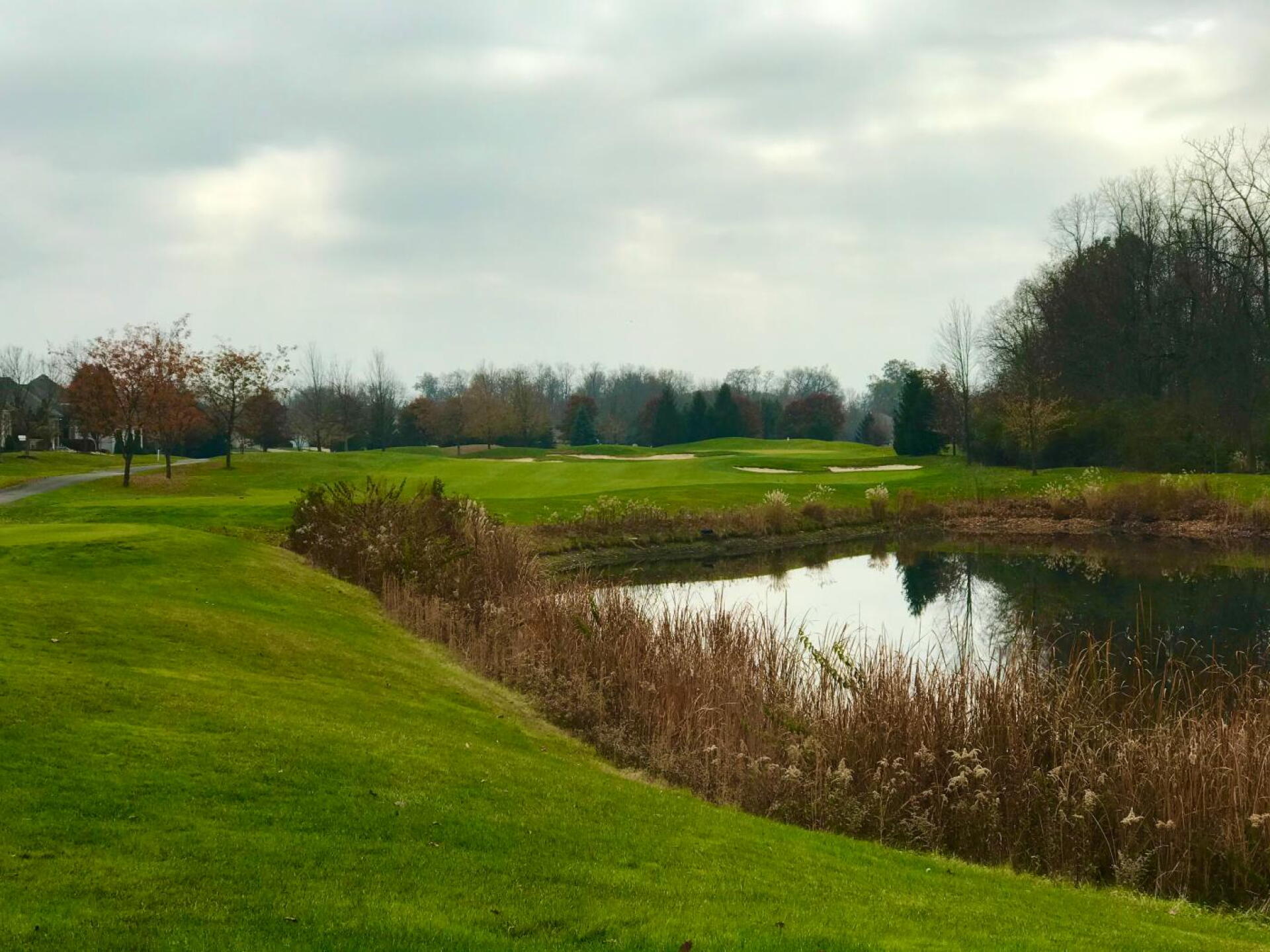(Photo submitted by BuckeyeCigar on 11/21/2019)