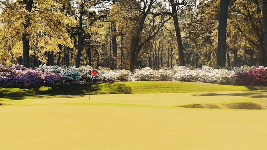 Cape Fear CC