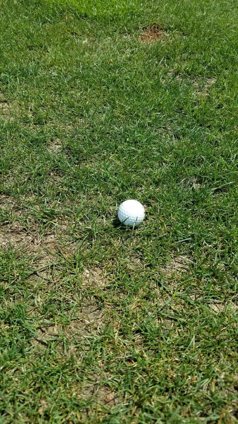 This was the FAIRWAY (Photo submitted by 6e8kPyMStAbZdnZ0o5AP on 08/10/2020)