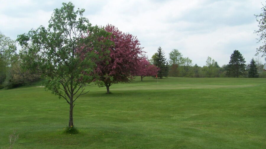 Devil's Knob GC: #9