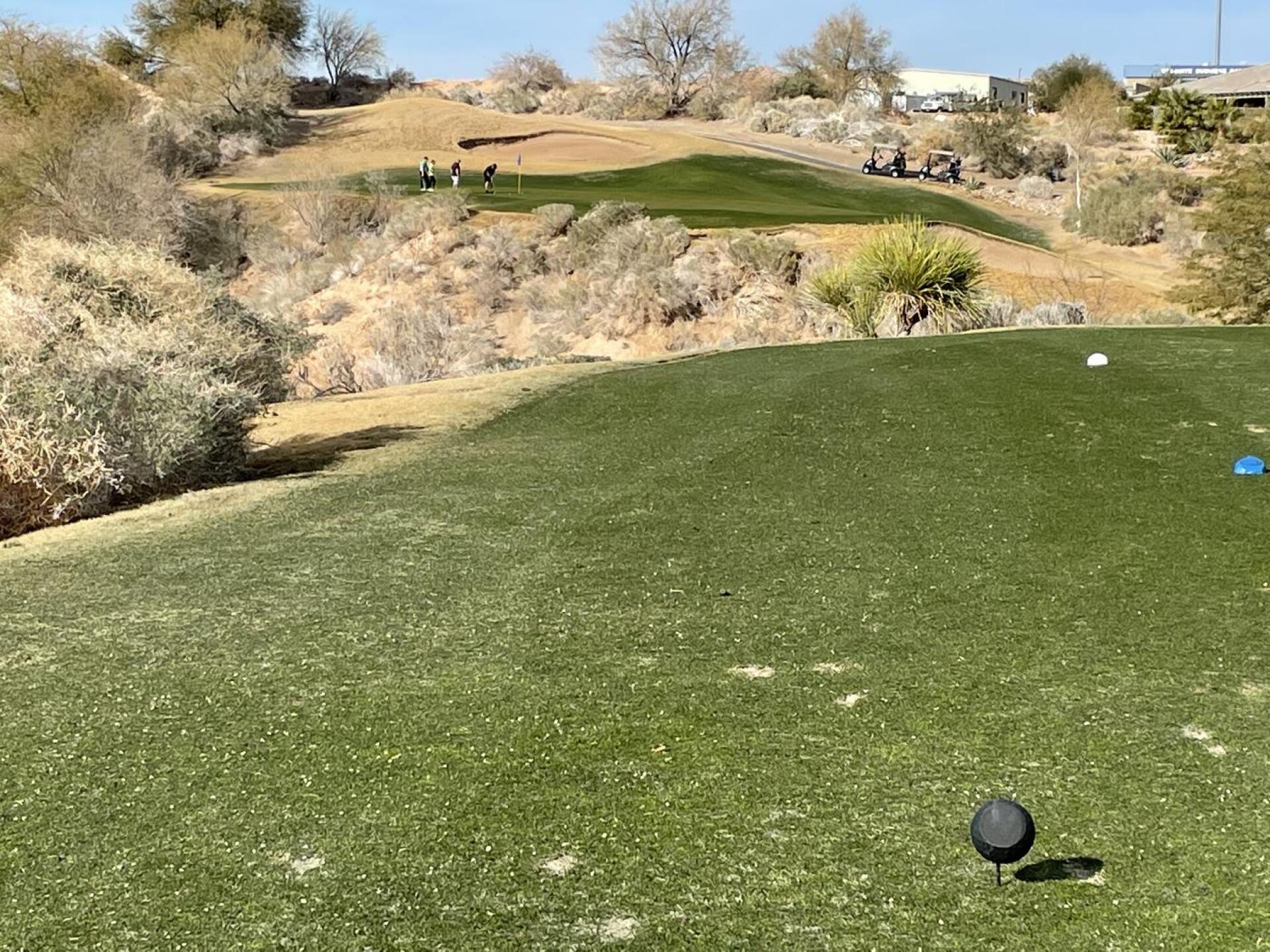 #7 (Photo submitted by Arthur7757239 on 01/20/2022)