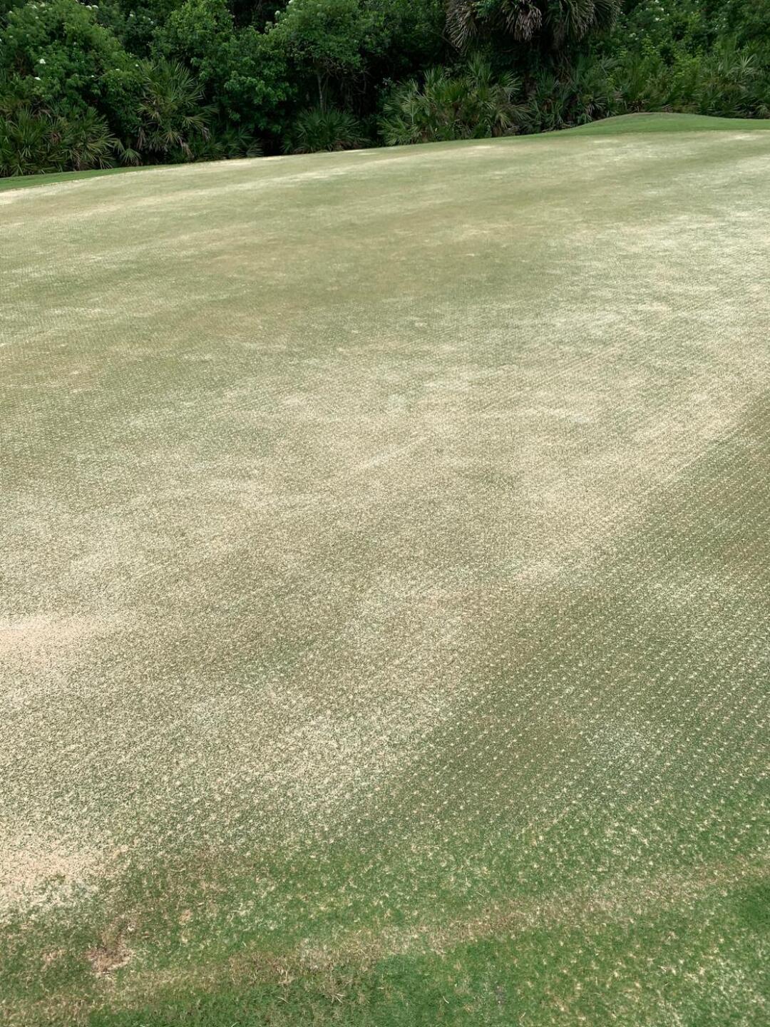 LPGA International - Hills Course in Daytona Beach, Florida ...
