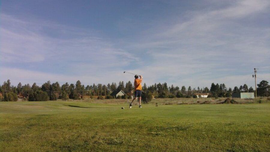Pine Meadow CC
