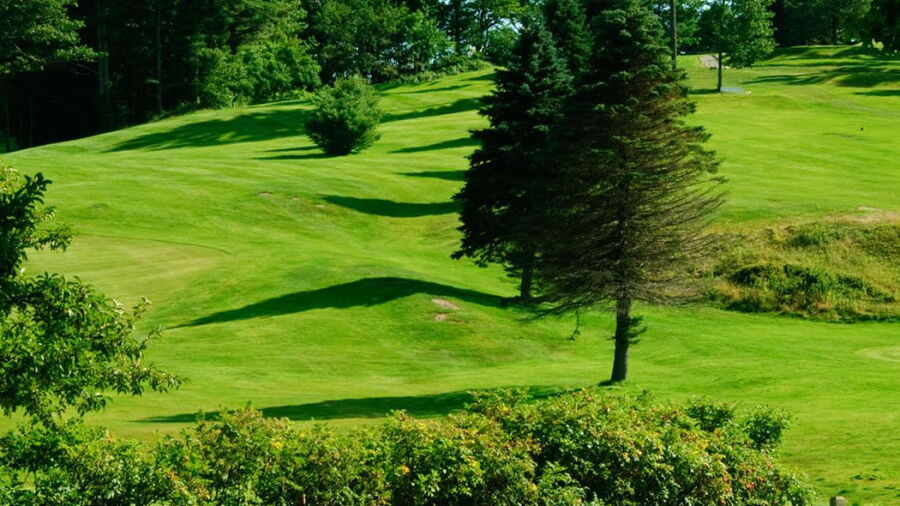 Martindale CC
