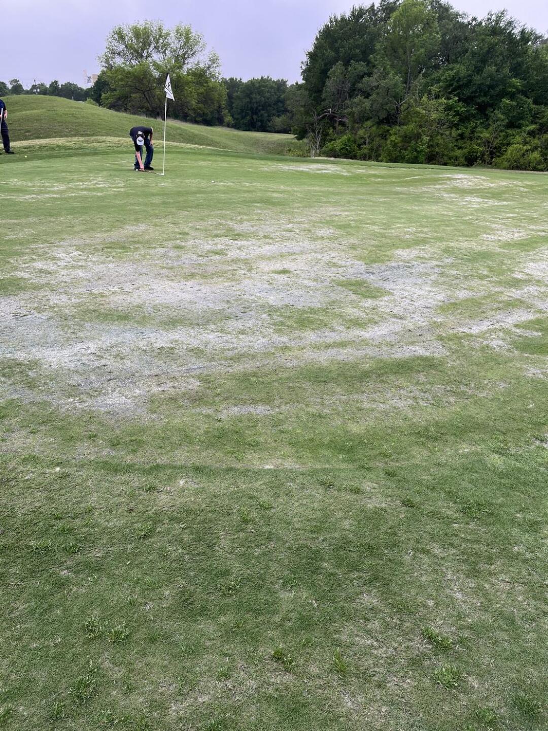 #2 (Photo submitted by keithben on 04/05/2025)