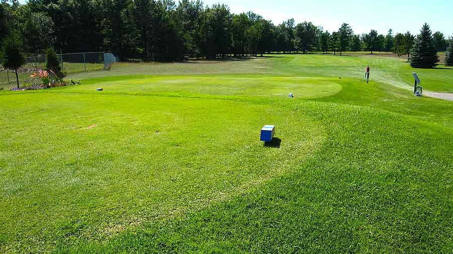 Grayling CC: #4