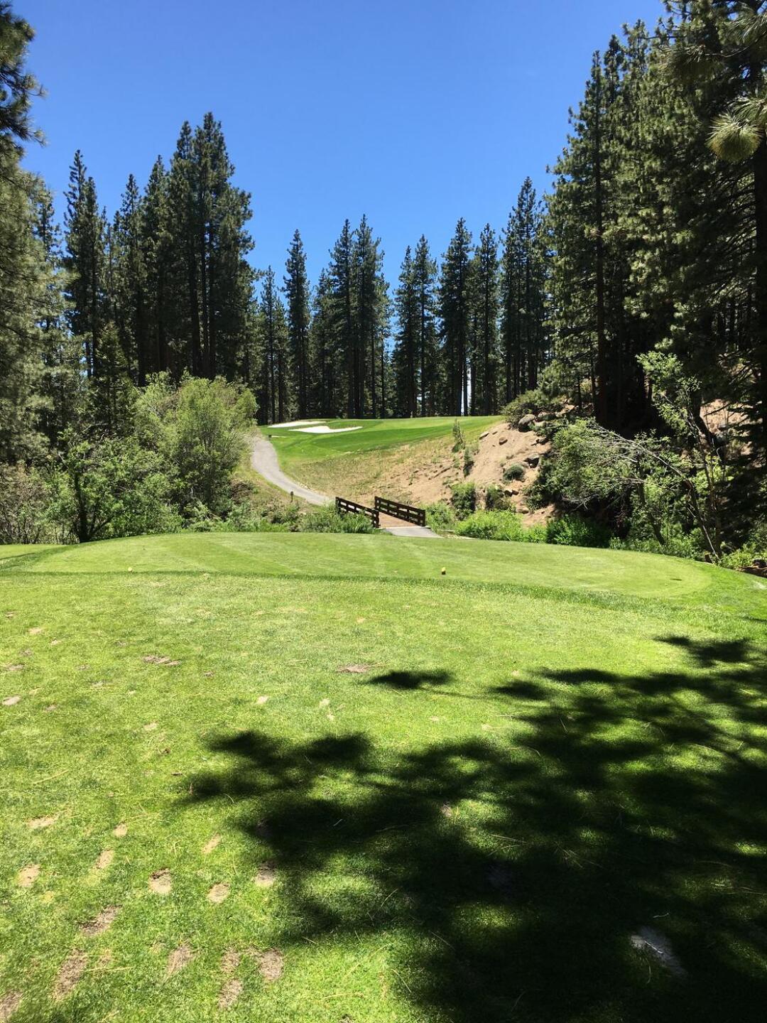 (Photo submitted by Hoytbrej on 06/17/2022)