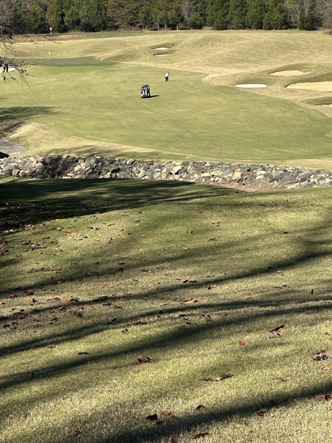 Just BEAUTIFUL (Photo submitted by Toby27295 on 11/20/2024)