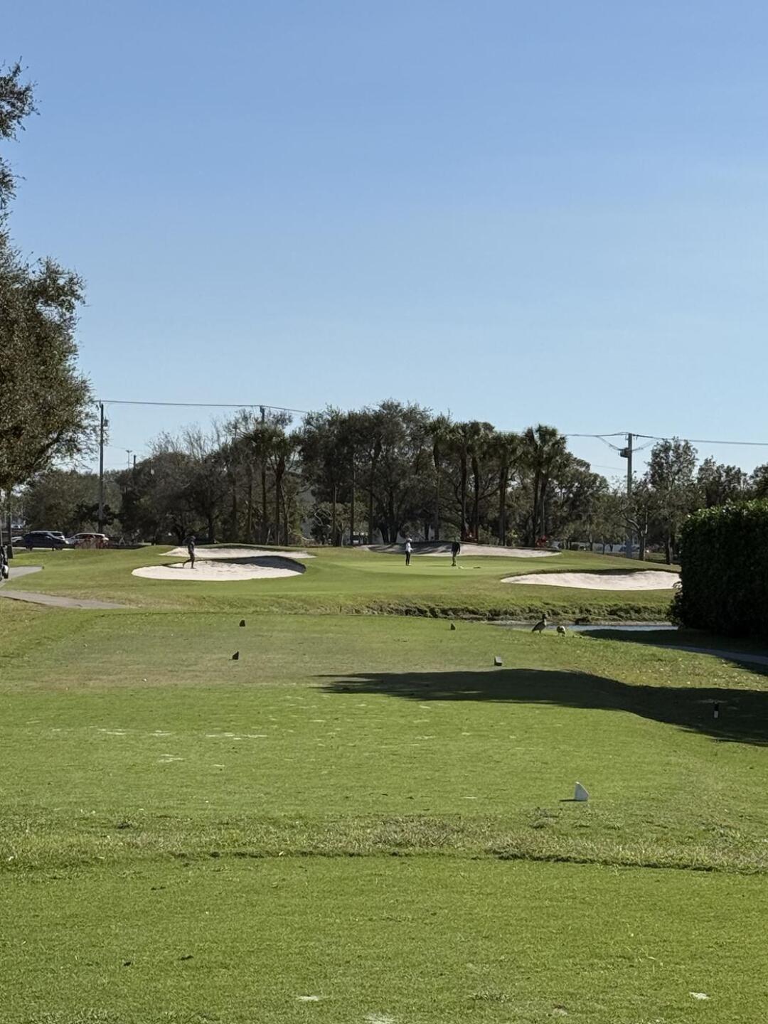 (Photo submitted by Jerrickward on 02/24/2026)