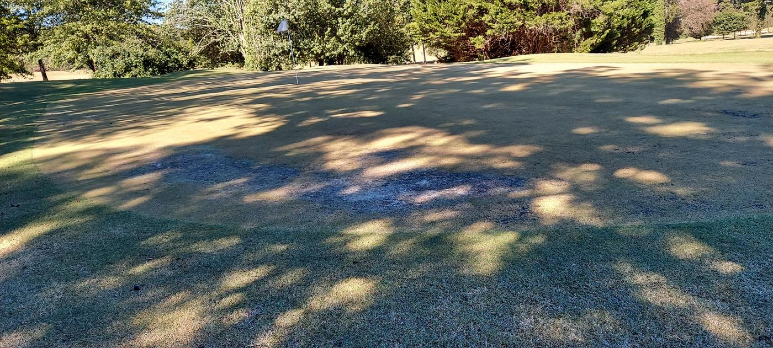 (Photo submitted by u621076289 on 10/07/2022)