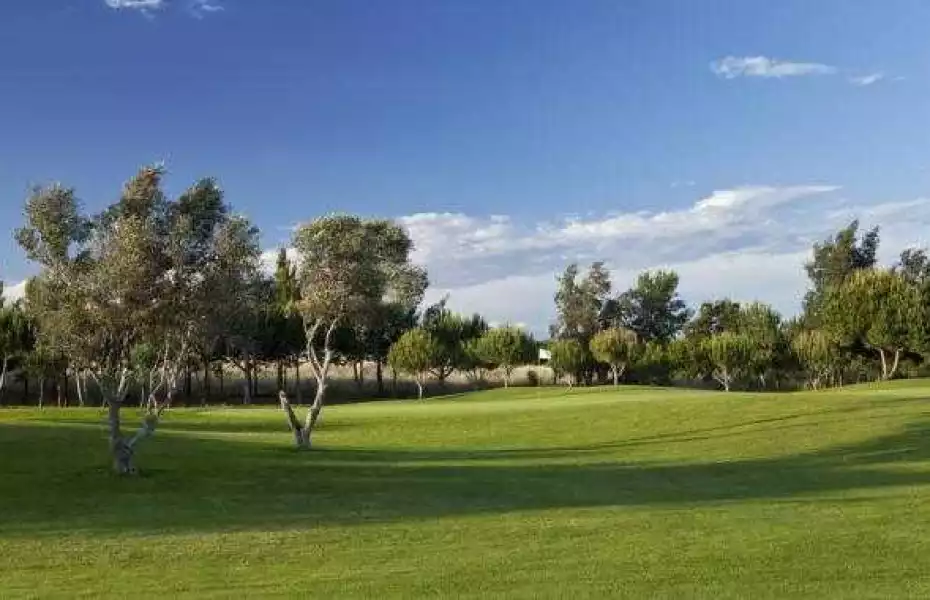 Dom Pedro Golf - Millennium
