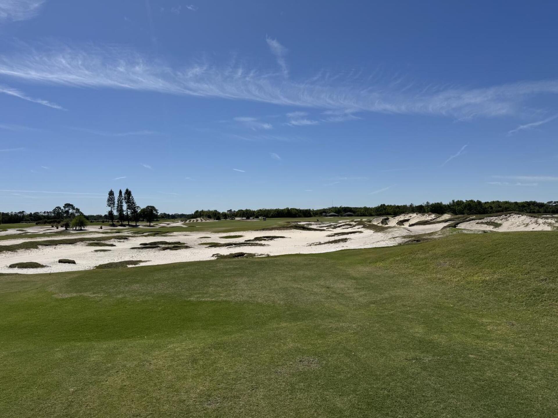 (Photo submitted by DirtyRommel on 03/21/2025)