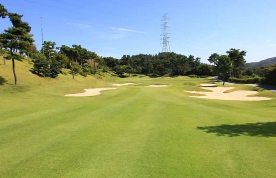 Shinan CC - Orange: #1