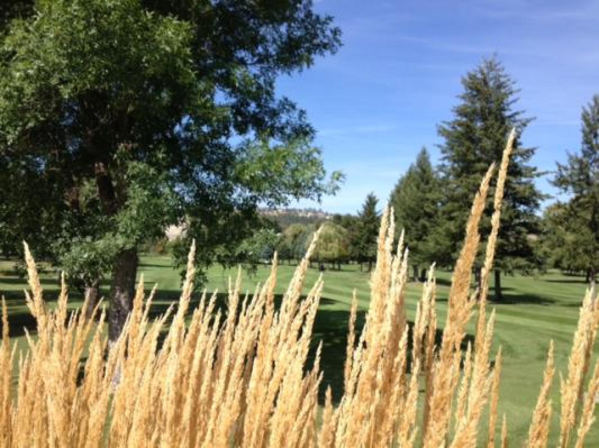 (Photo submitted by mdicay on 09/09/2014)