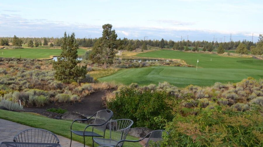 Juniper GC