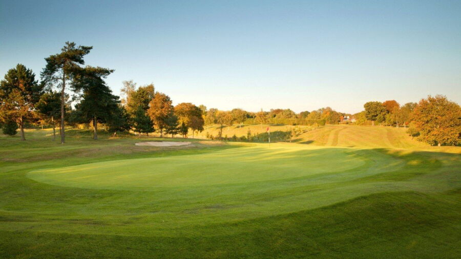 Welwyn Garden City GC: #1