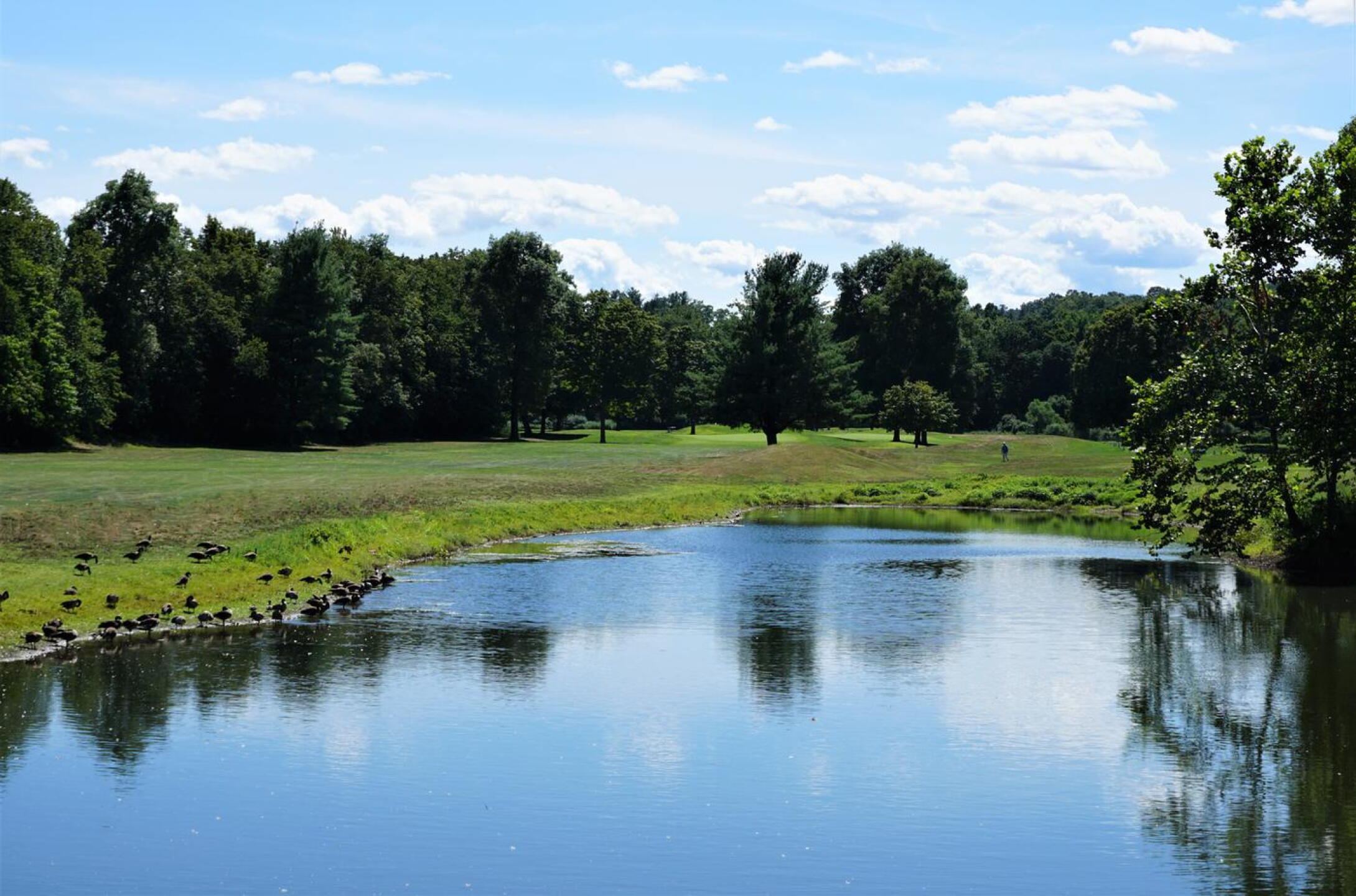 Four: The 448-yard par-4’s fairway is seen (to the left) here from across the same large pond. (Photo submitted by AptlyLinked on 08/21/2020)