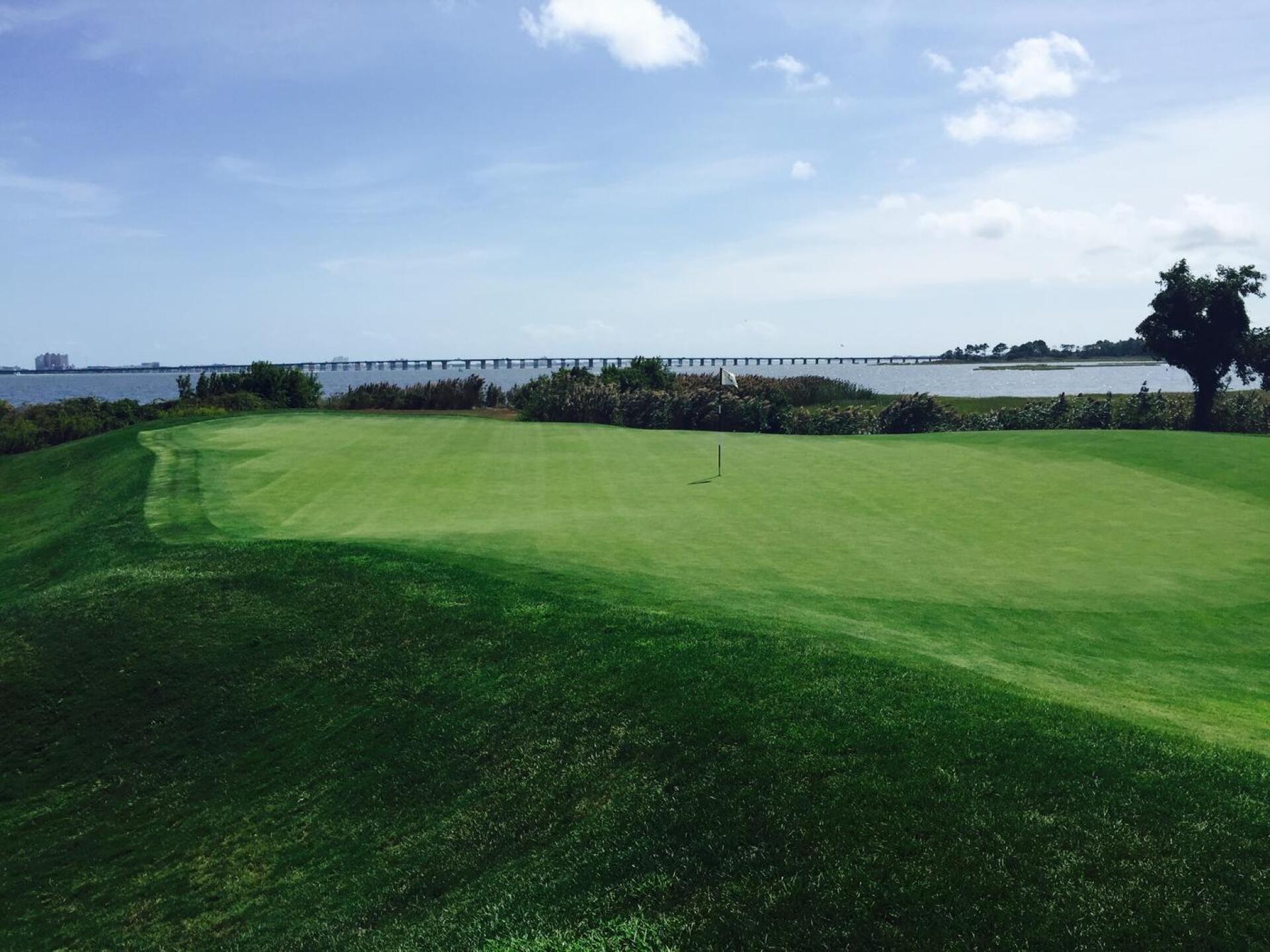 (Photo submitted by MasterTigerWoods on 08/01/2016)