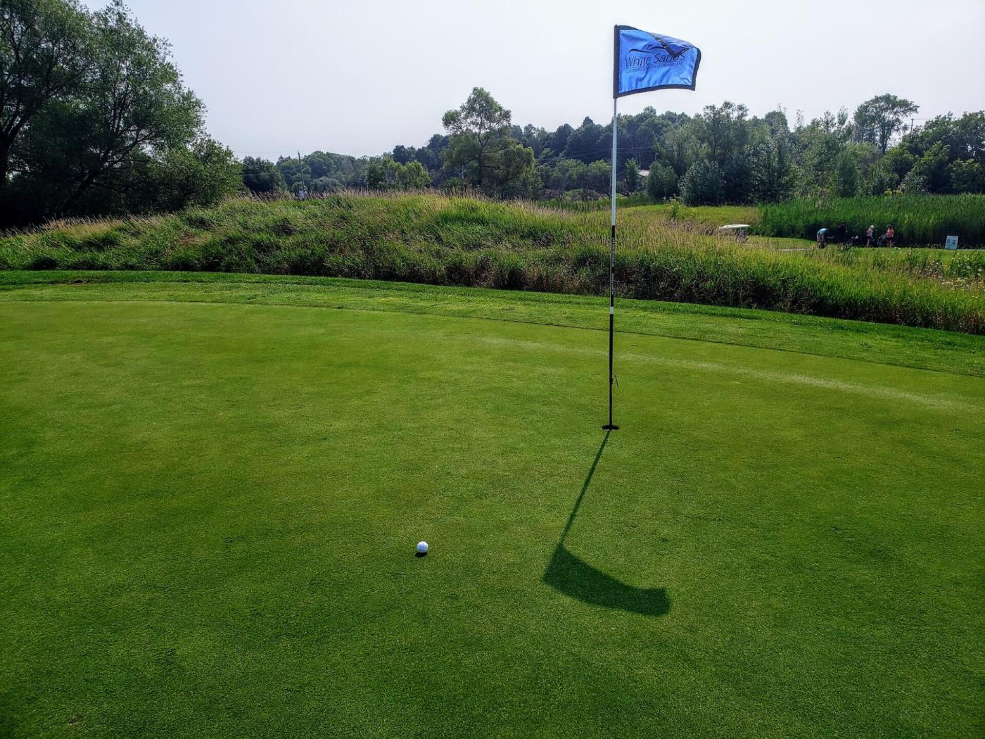 (Photo submitted by u314161846105 on 08/15/2021)