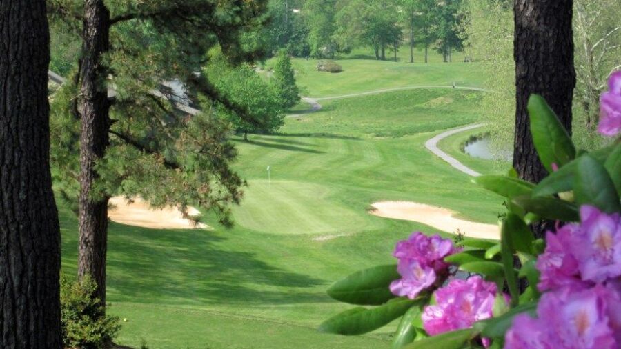 Chestnut Mountain GC: #15