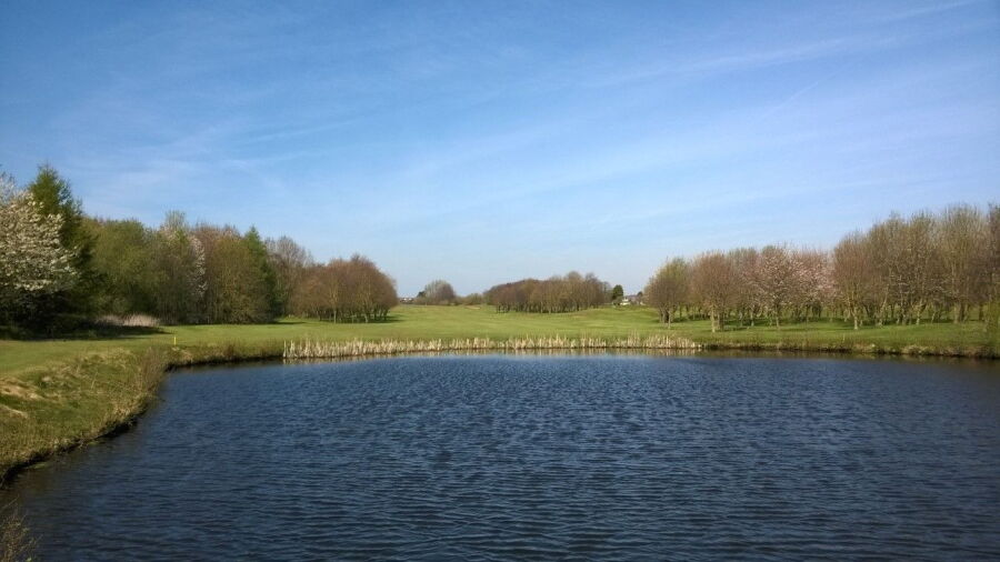 Old course at Formby Hall: #15