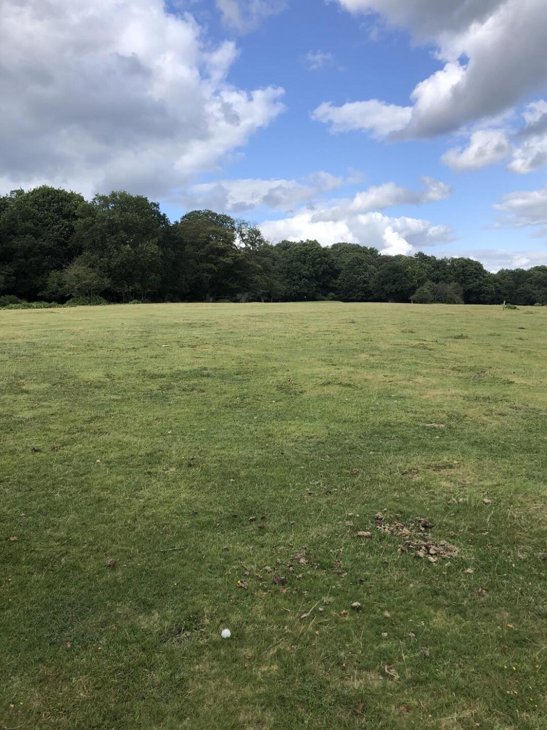 (Photo submitted by MatthewStaley on 07/31/2023)