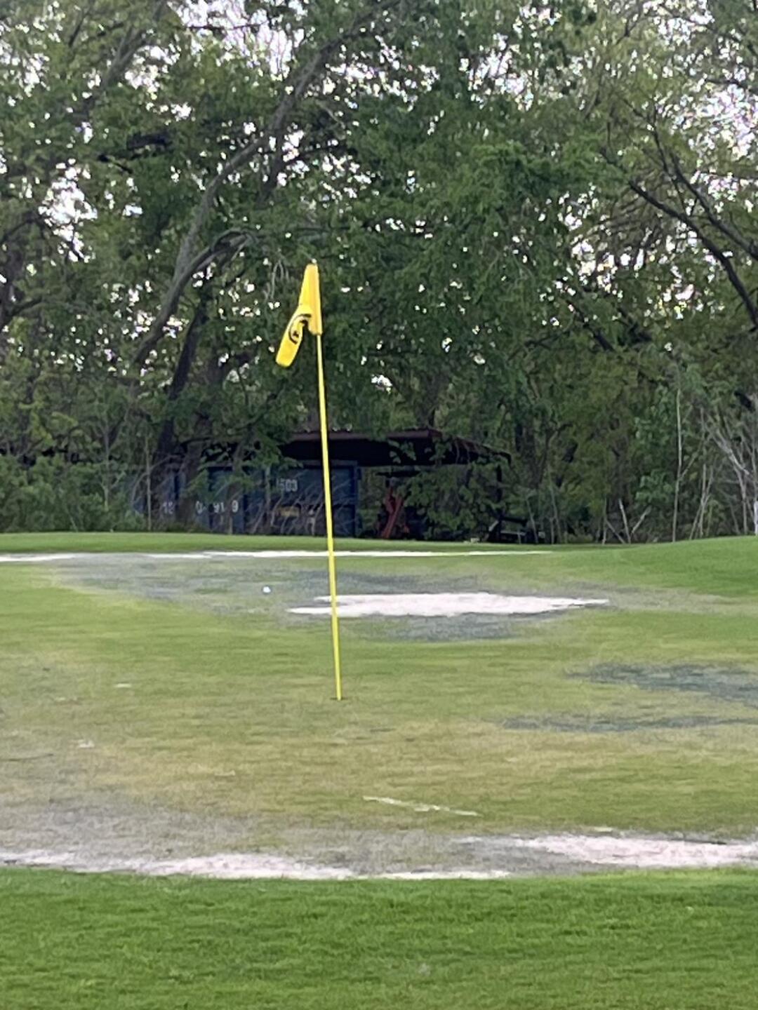 Almost every green looks like this (Photo submitted by u215505674 on 03/20/2024)