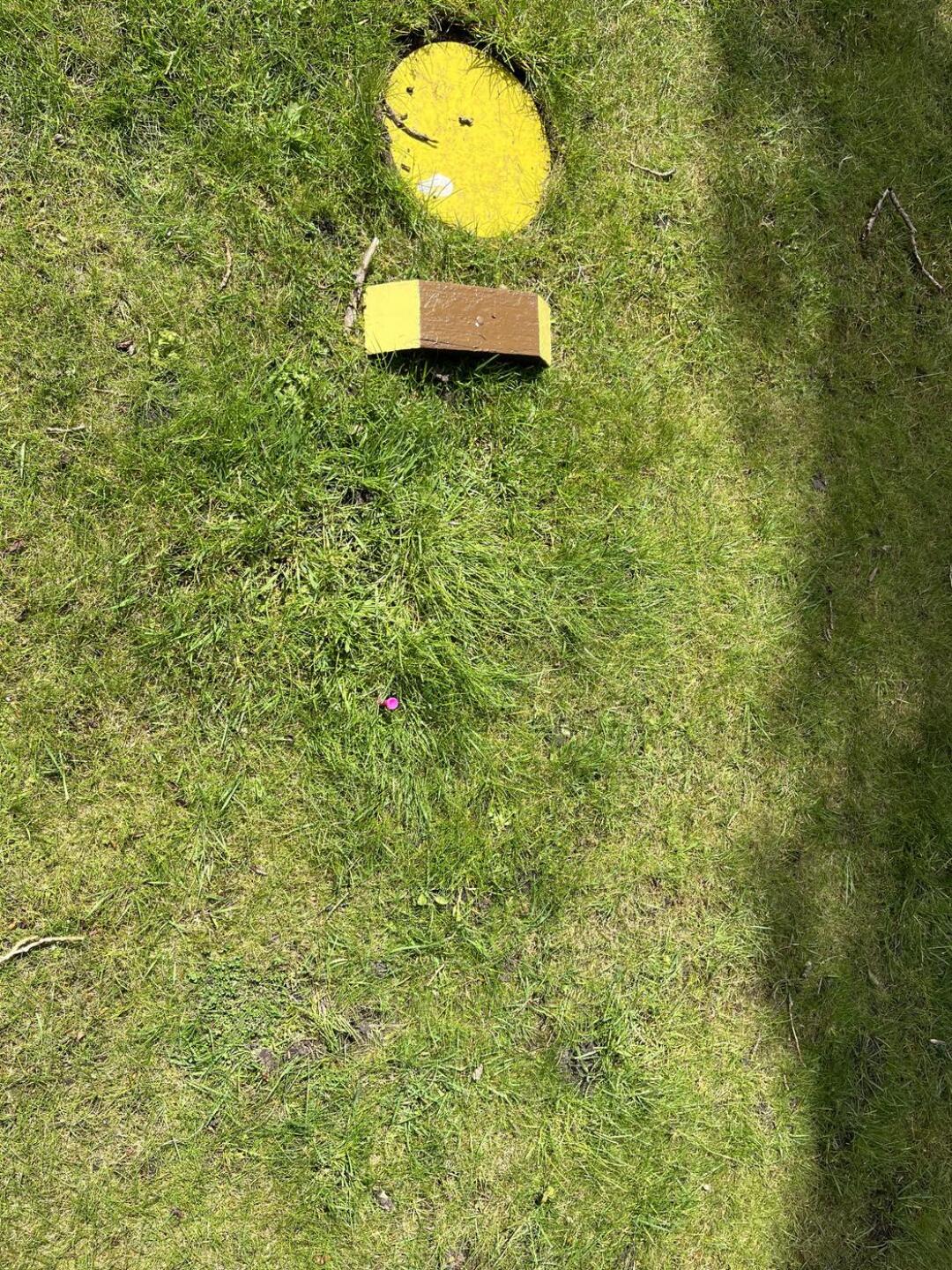 Barely see my tee (Photo submitted by John3620 on 04/24/2024)