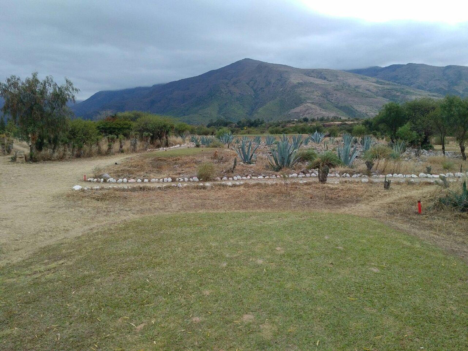 (Photo submitted by Cornelus8794434 on 05/26/2016)