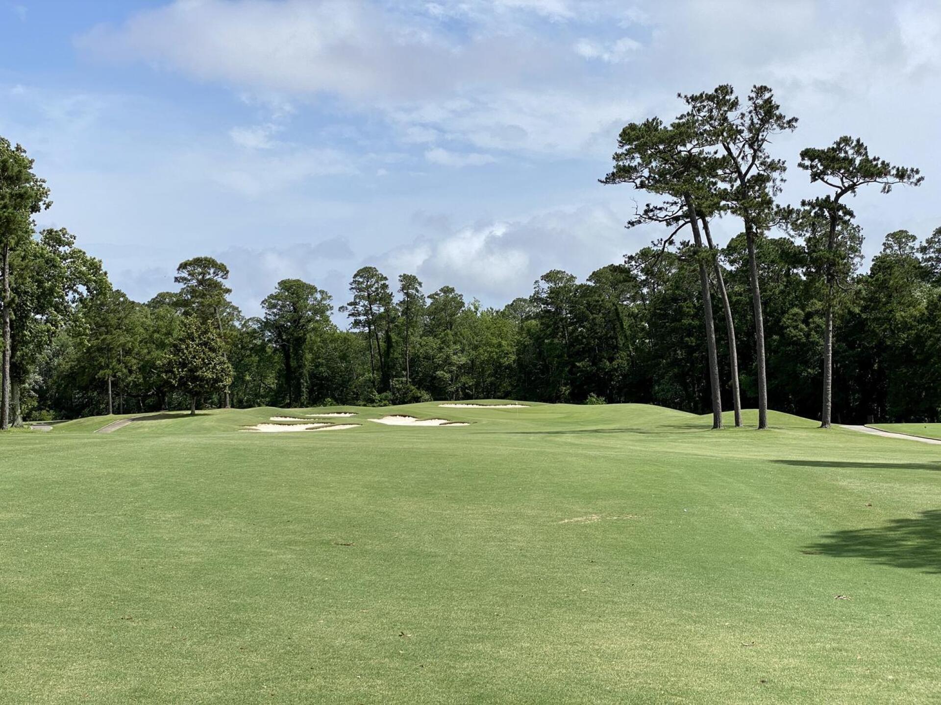 Lakewood Club - Dogwood, hole 16 (Photo submitted by TimGavrichGP on 11/28/2022)